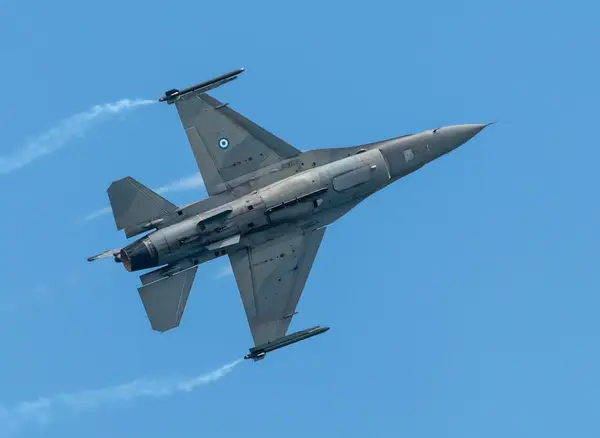 Et fly som flyr mot blå himmel
