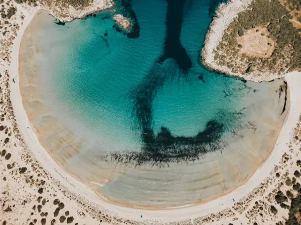 Solfylt strand med palmer og ferierende mennesker