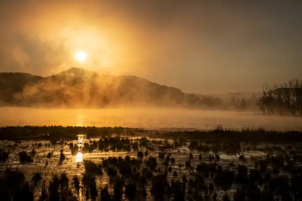rolig morgen i naturen med sollys gjennom trær