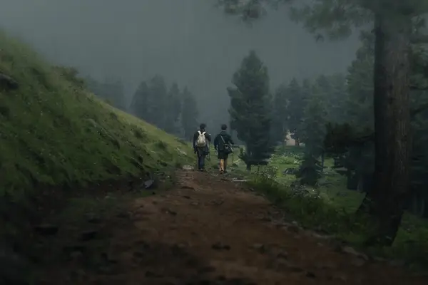 morgen tåke i skogen med trær