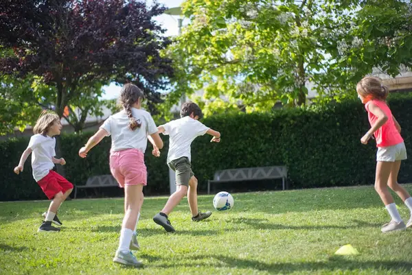 Folk som spiller sport i en park