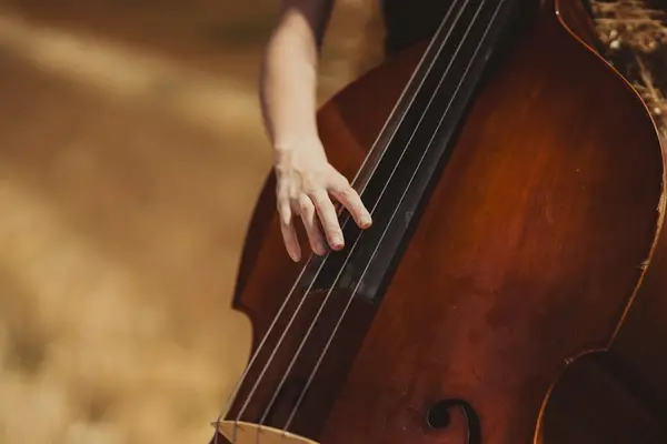 Samisk kultur og musikk fremført på Slottsfjellfestivalen