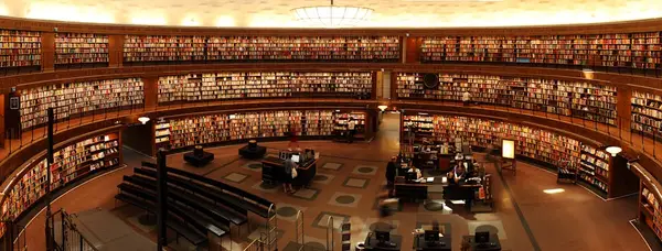 studenter som leser i biblioteket