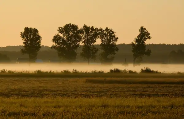 solrik morgen på landsbygda