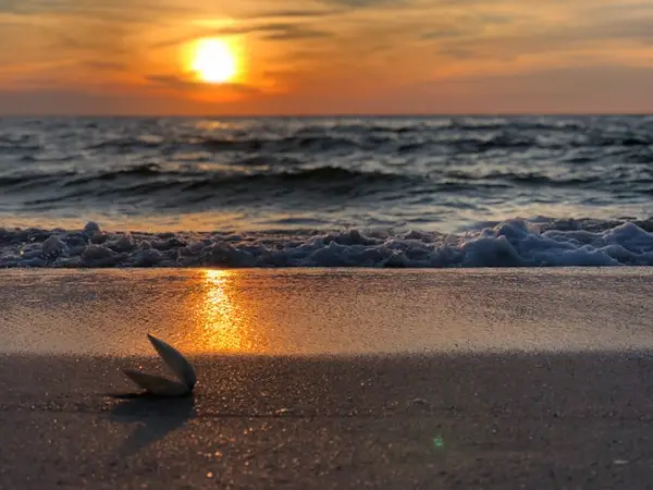 solnedgang på stranden