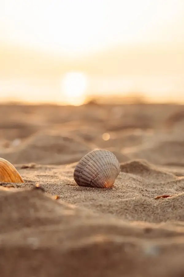 solnedgang på stranden under en ferie